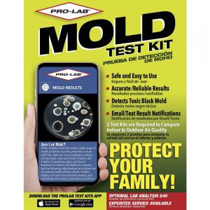 MOLD TEST KIT