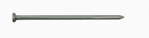 2.5" 1LB HDG COMMON NAILS
