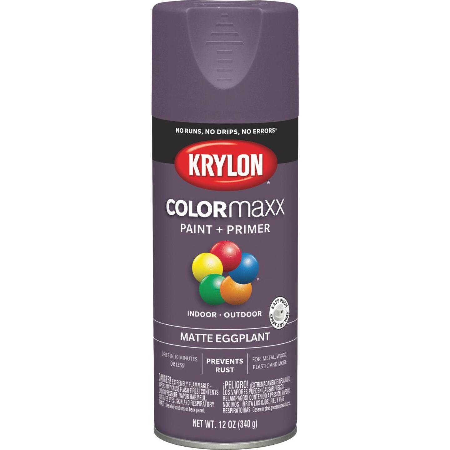 12OZ MATTE EGGPLANT SPRAY PAINT