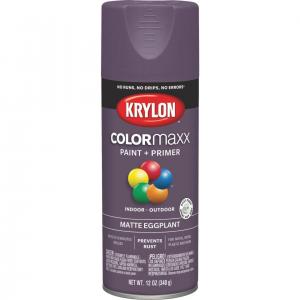 12OZ MATTE EGGPLANT SPRAY PAINT