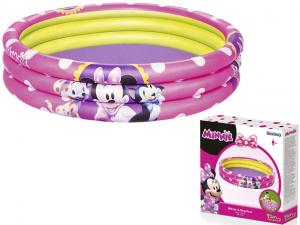 48X10 MINNIE POOL