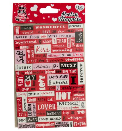 POETRY CONVERSATION MAGNET