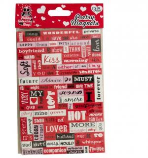 POETRY CONVERSATION MAGNET