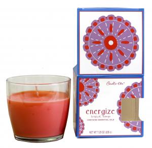 CANDLE 7.25OZ TROPICAL MANGO