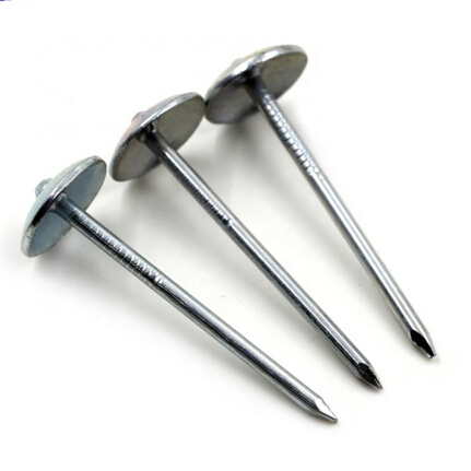2.5" 1LB HDG SPIRAL ROOF NAILS