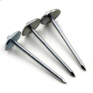 2.5" 1LB HDG SPIRAL ROOF NAILS