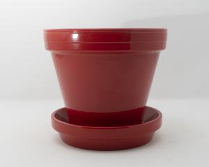 STANDARD FLOWER POT 6" W/SAUCER