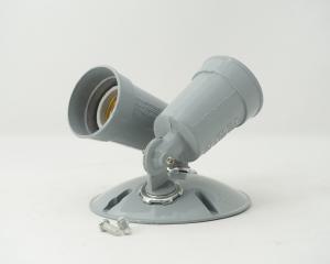 DBL SPOT LIGHT FIXTURE