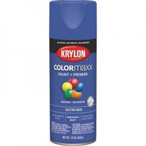 SATIN IRIS SPRAY PAINT 12OZ