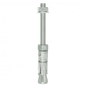 M6 25P RAWLBOLT PROJECTING