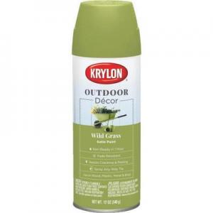 WILD GRSS OUTDR DECR SPRAY PAINT