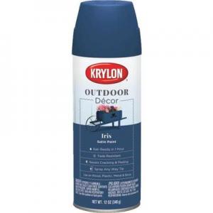 SAT IRIS OUTDR DECOR SPRAY PAINT