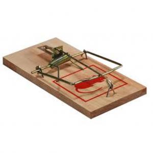 RAT TRAP