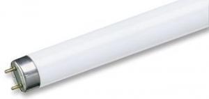 T8 FLOURESCENT TUBE 4FT