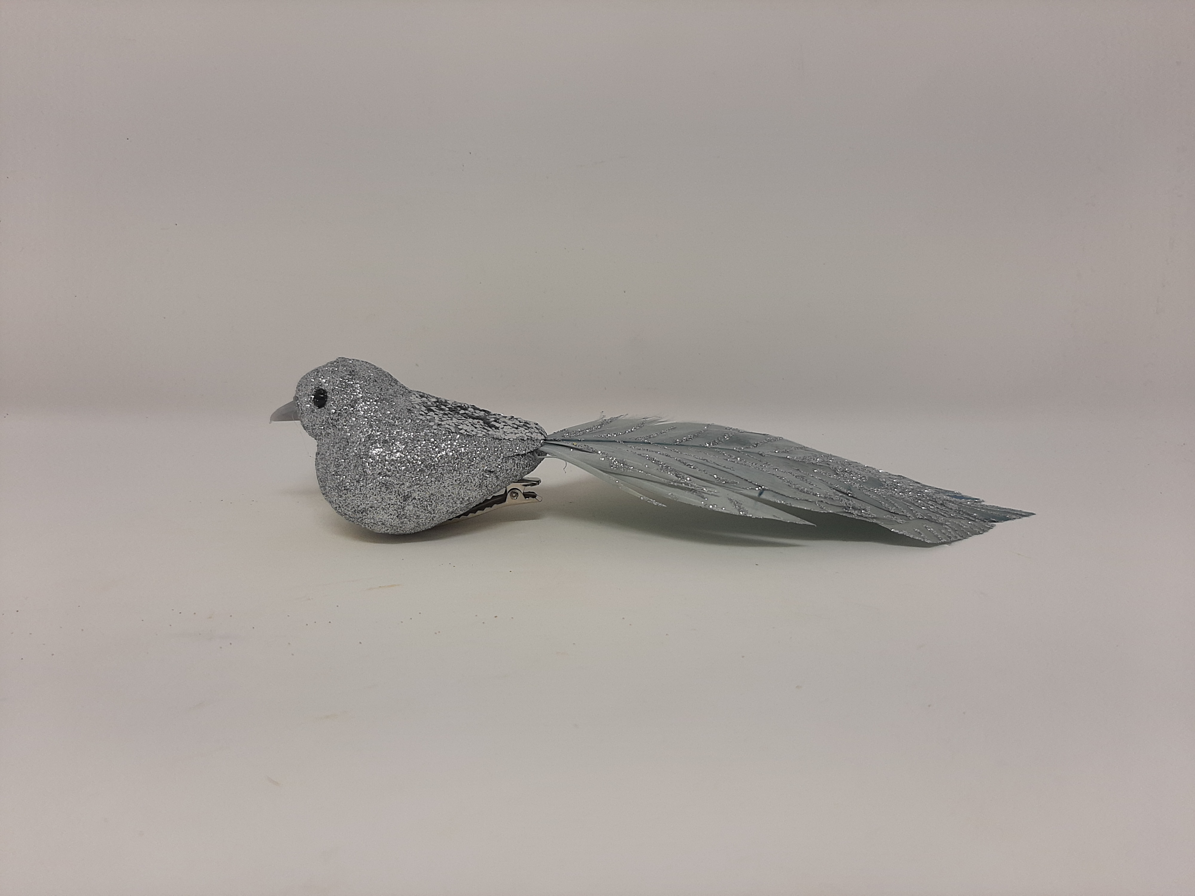 CURLY LONG TALE FEATHER BIRD