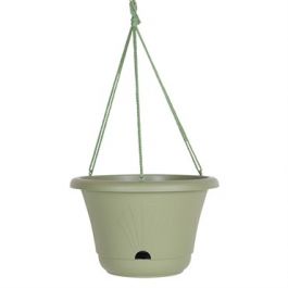 13" BLOOM LVNG GRN HANGBSKT