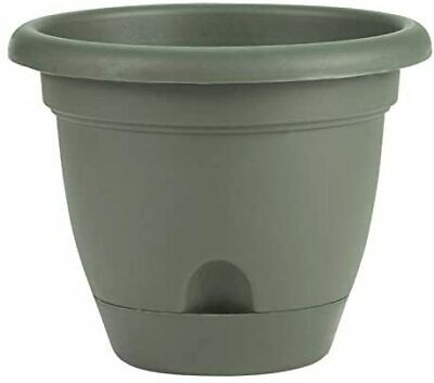 12" LUCCA TERRACOTTA PLANTER