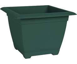 15" TURTLE GREEN SQ BOX