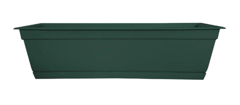 24" TURTLE GREEN WIN BOX
