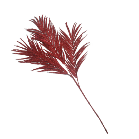 DYPSIS LUTESCENS/3 RED 85CM .