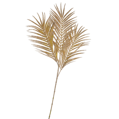 DYPSIS LUTESCENS/3 GOLD 85CM .