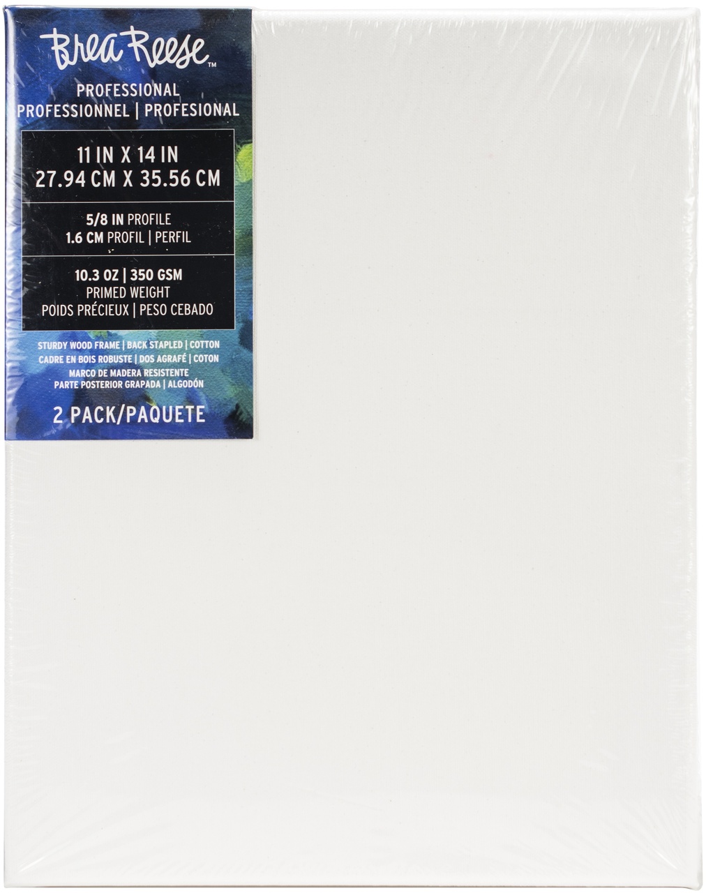 11''X14'' 2 PACK ART CANVAS