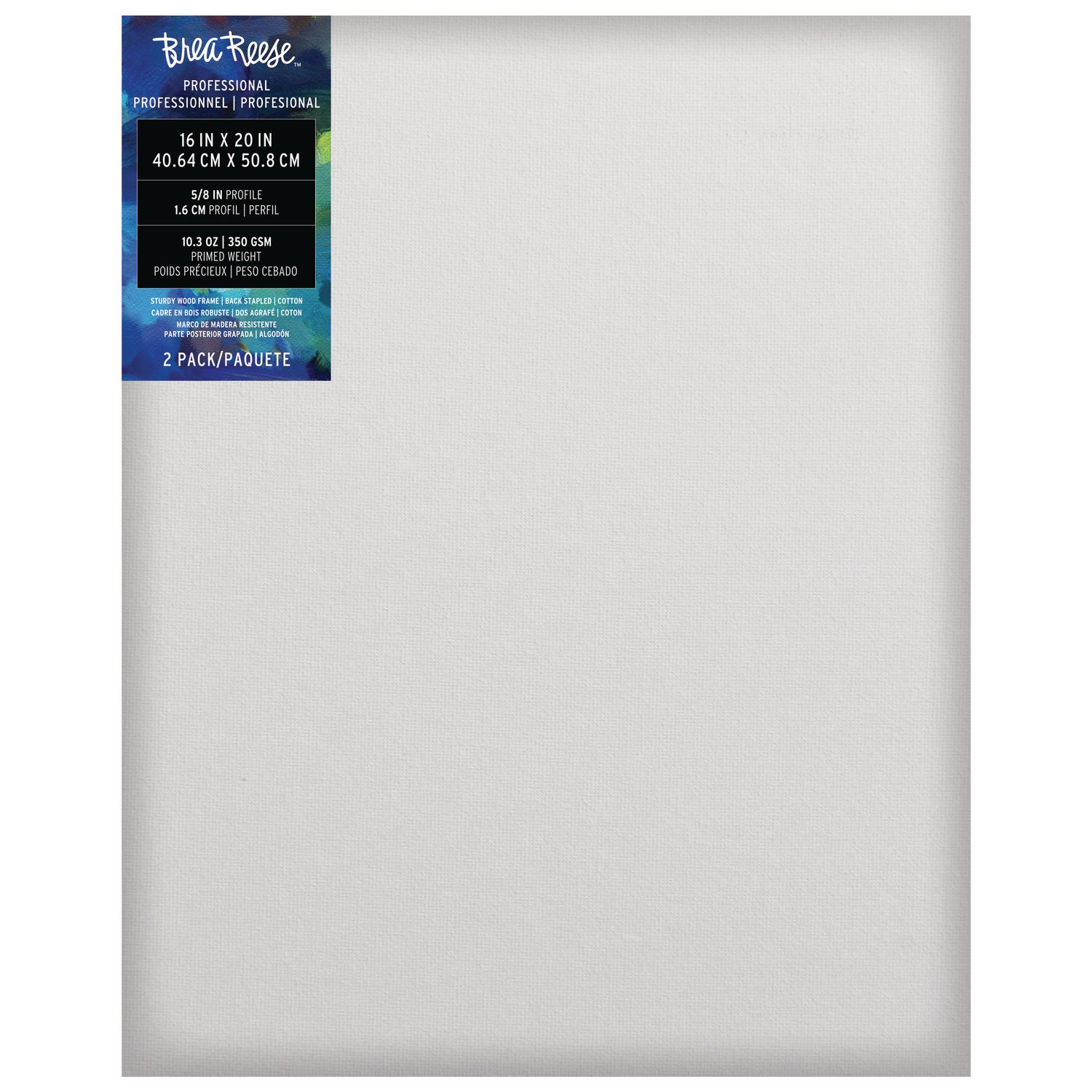 16''X20'' 2 PACK ART CANVAS