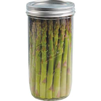 1.5PT 9CT W/M MASON JAR