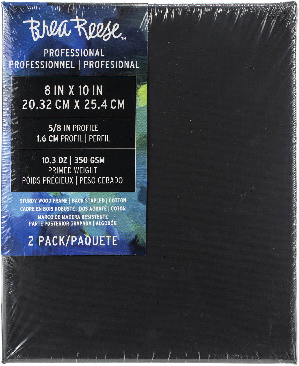 8''X10'' 2 PACK BLK ART CANVAS
