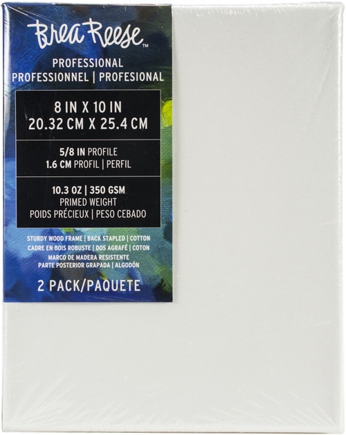 8''X10'' 2 PACK ART CANVAS