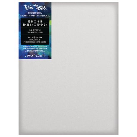12''X16'' 2 PACK ART CANVAS