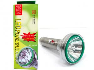 SILVER TORCH LIGHT
