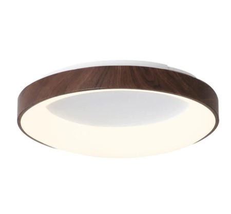 FLUSHMOUNT LED CEILING LAMP