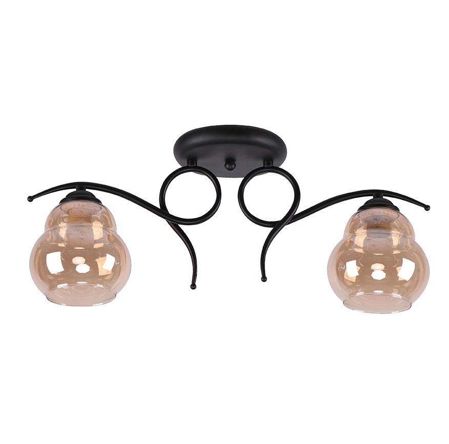 2L CEILING LAMP M/BLACK 40W