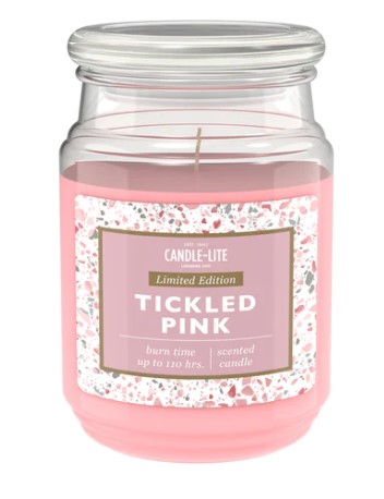 CL VAL 18OZ TICKLED PINK