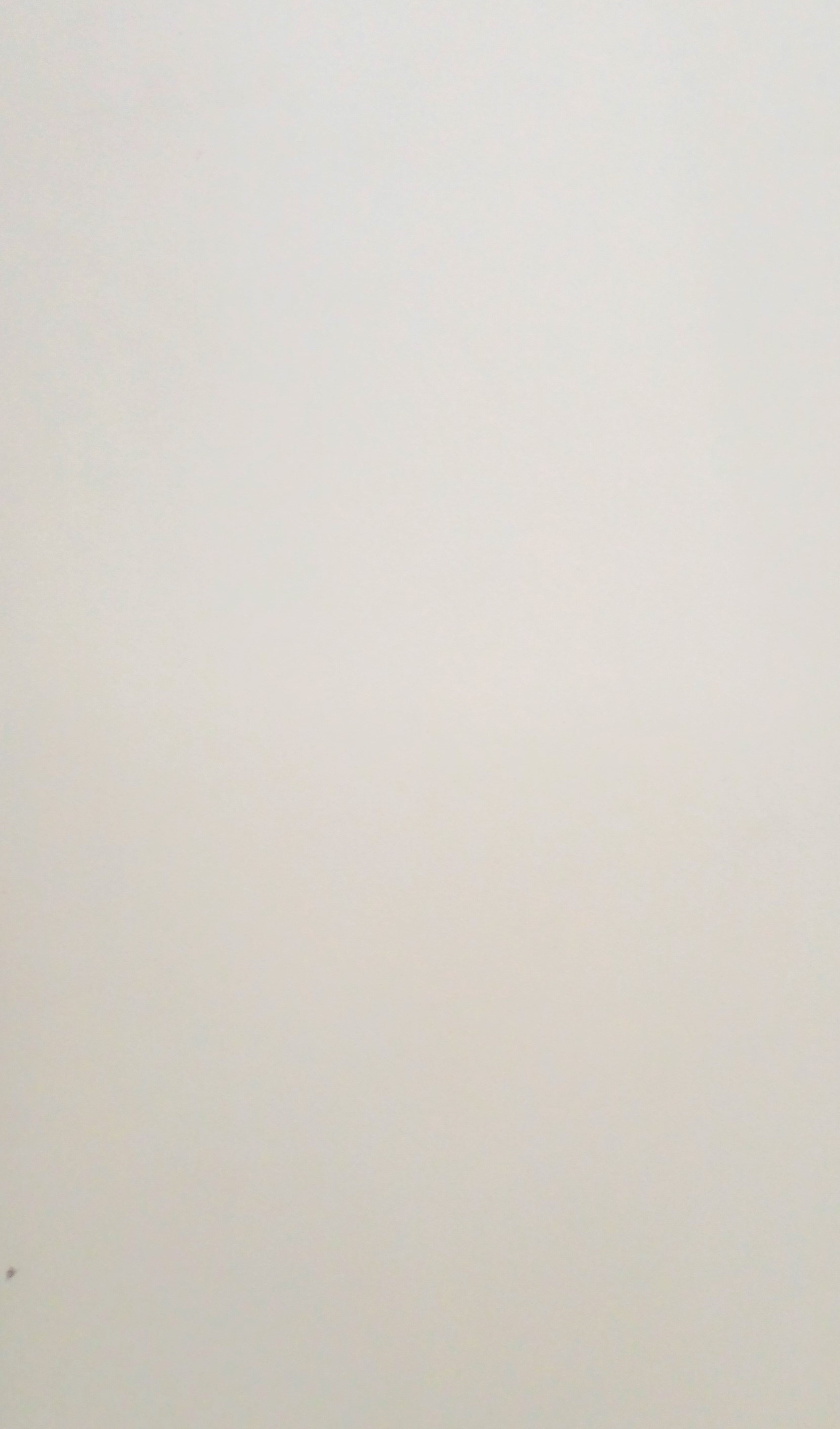 12X24 CLASSICO CRU MATE
