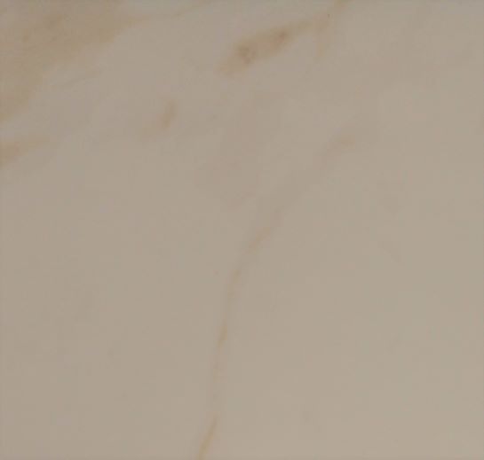 24X24 NAOS GOLD BRILLO TILE