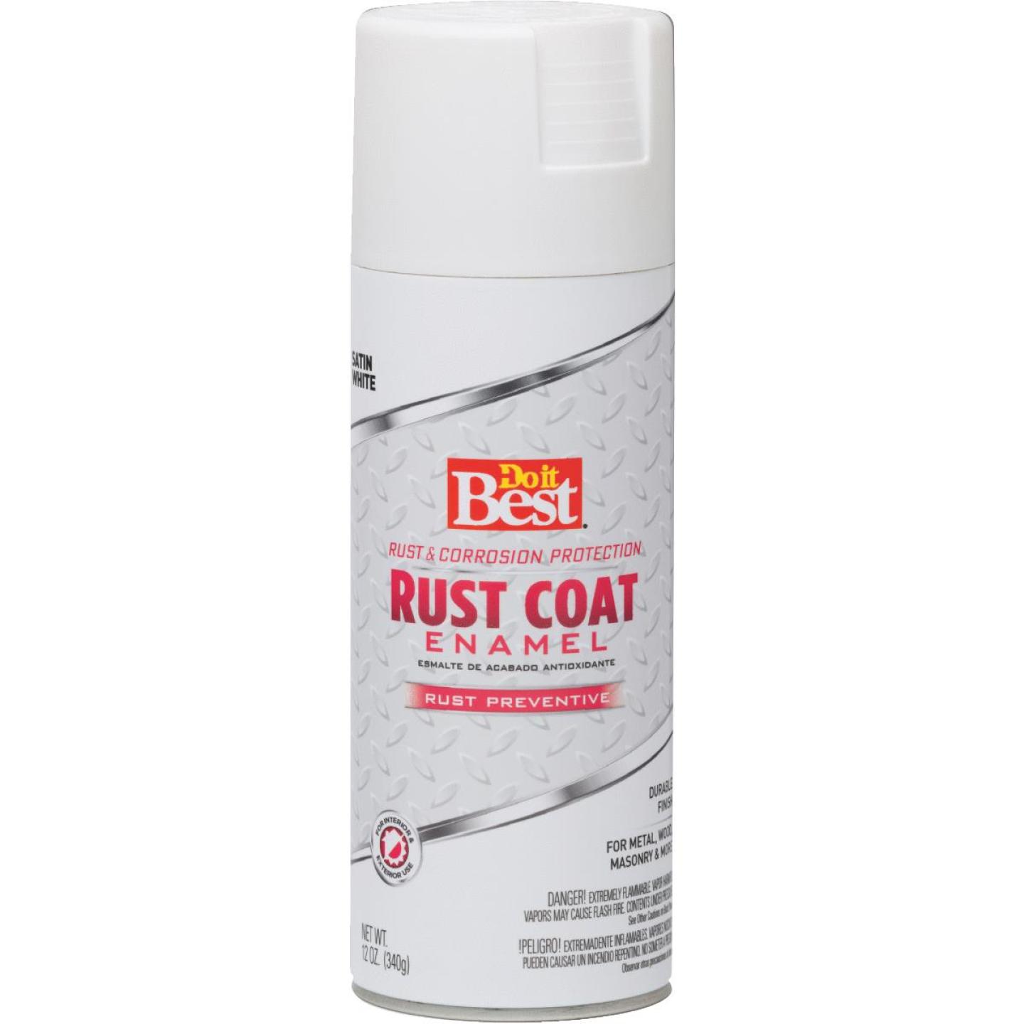 SAT WHT RUST SPRAY PAINT